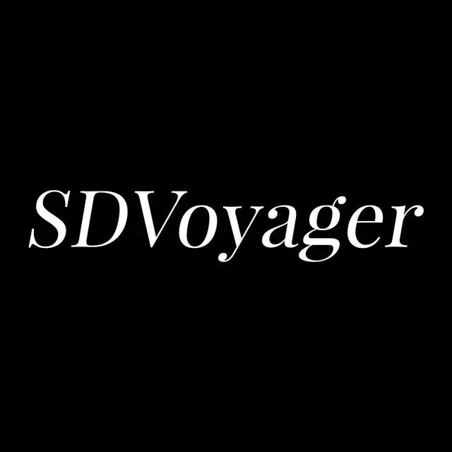 SD Voyager Logo from Mona's Interview